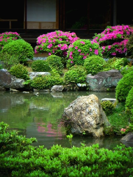 �q�ω@�F�����뉀�ƃT�c�L