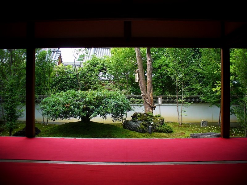 ���щ@�F�����o���̒�