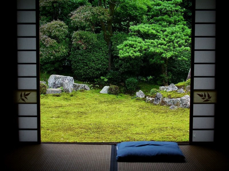 䎑ɉ@�F�ߋT�̒�