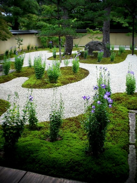 �I�R���F������@