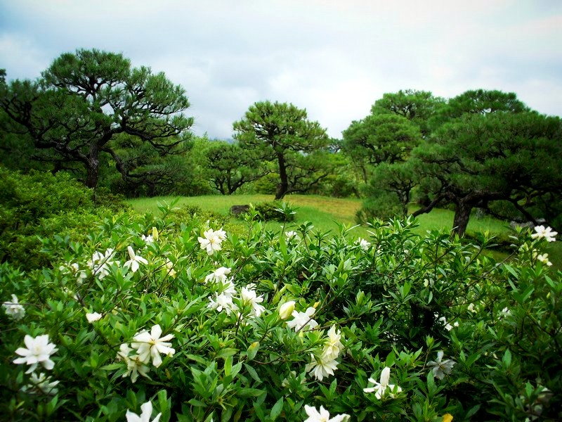 �ː����F���Ă̗�