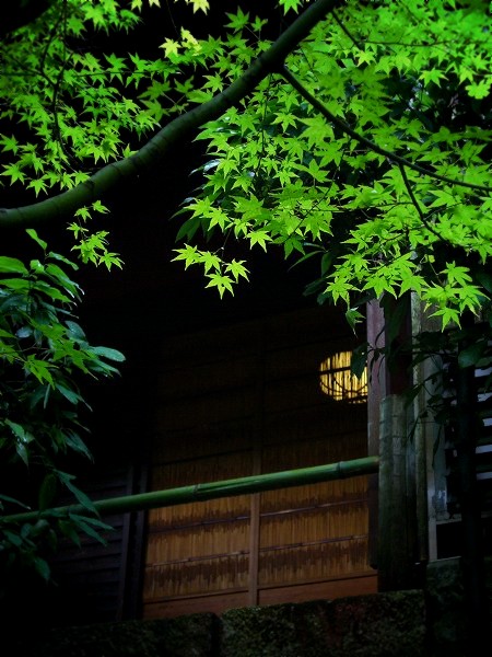 �앧���F�J��̈ꎞ