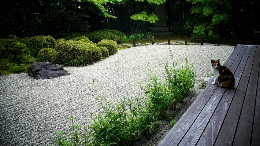 �������F�G�ꉏ�ŘȂ�