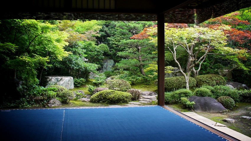 �����ƒ뉀�F�f����џ�