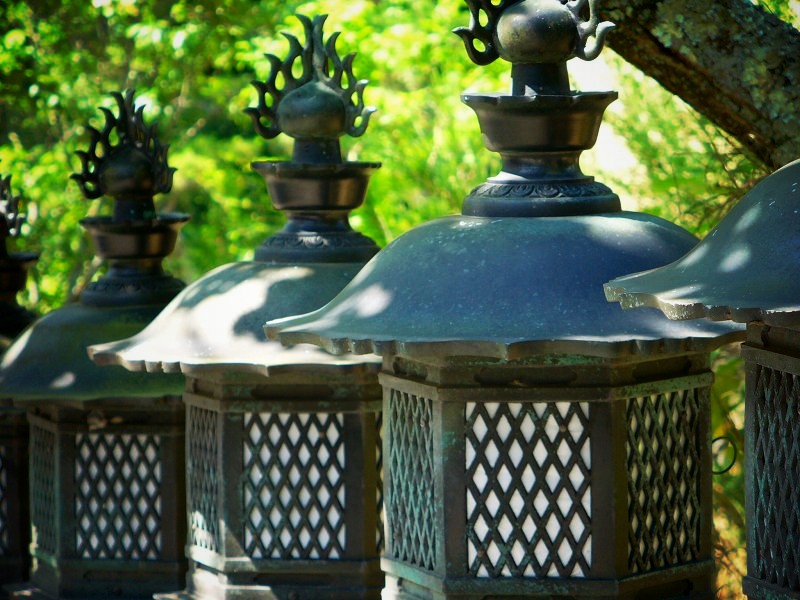 ���|���F���Ă̗�