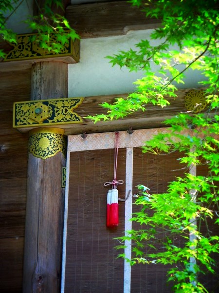 ���g��ЁF���{�a�ɂ�