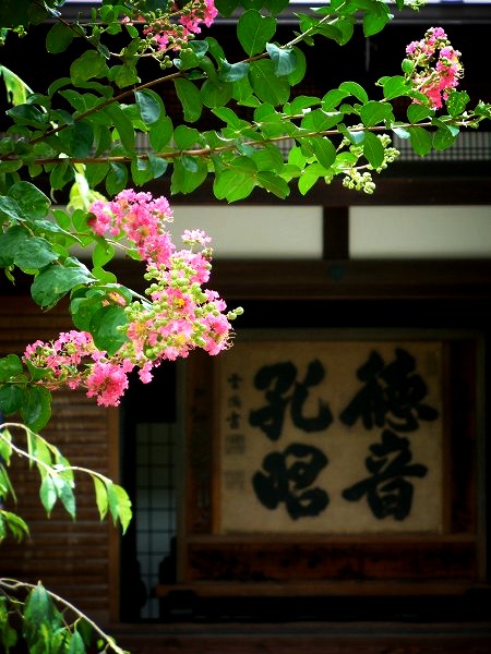 ��i�@�䎛�F�����E��