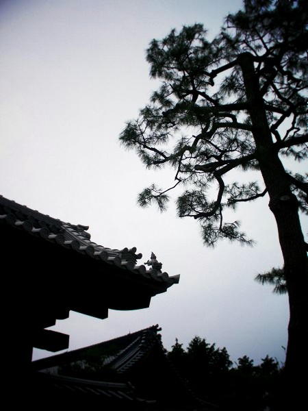 �ь��@�F�^�Ă̑���