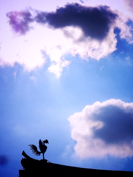 �����@�F�_�ƖP��