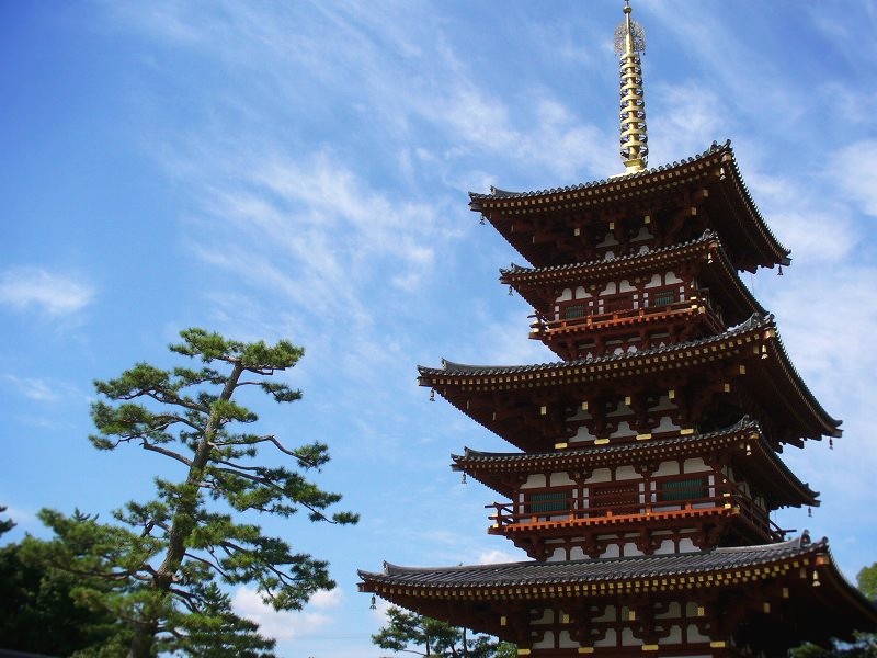 ��t���F�����A