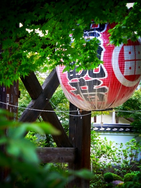 �����֎��F����ɂ�