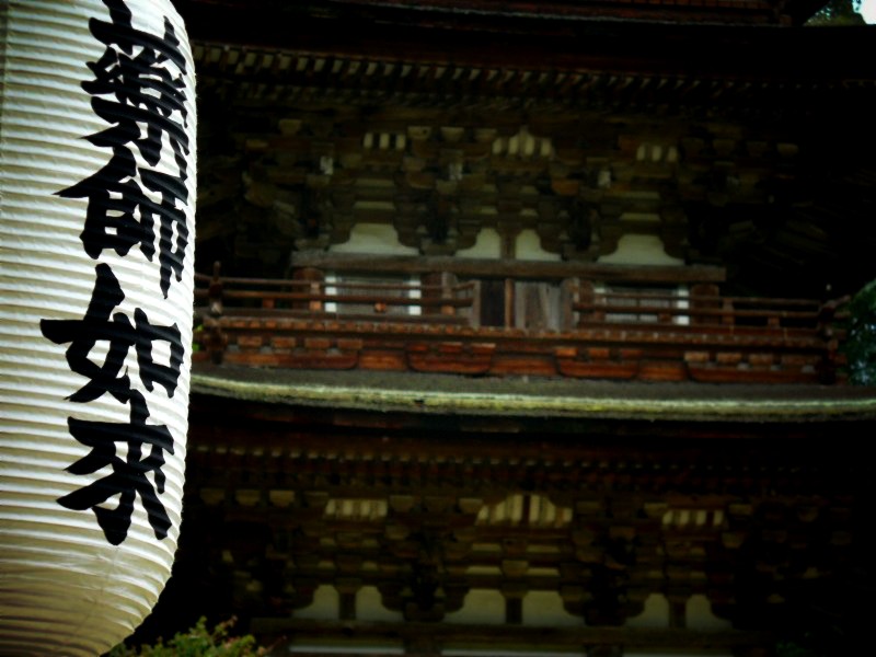 �������F�O�d���O