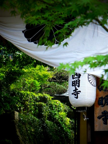 �������F�R��O