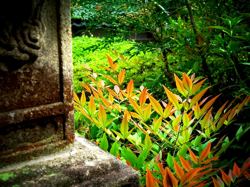 ���ю��F�����ɂ�