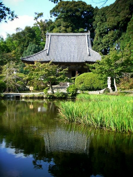 ���x���F�{��