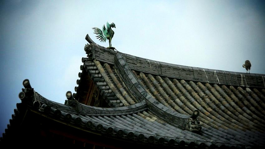 �����@�F�P���A