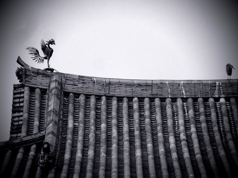 �����@�F�P���@