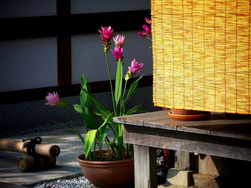 �����@�F�ŏ��@�ɂćA