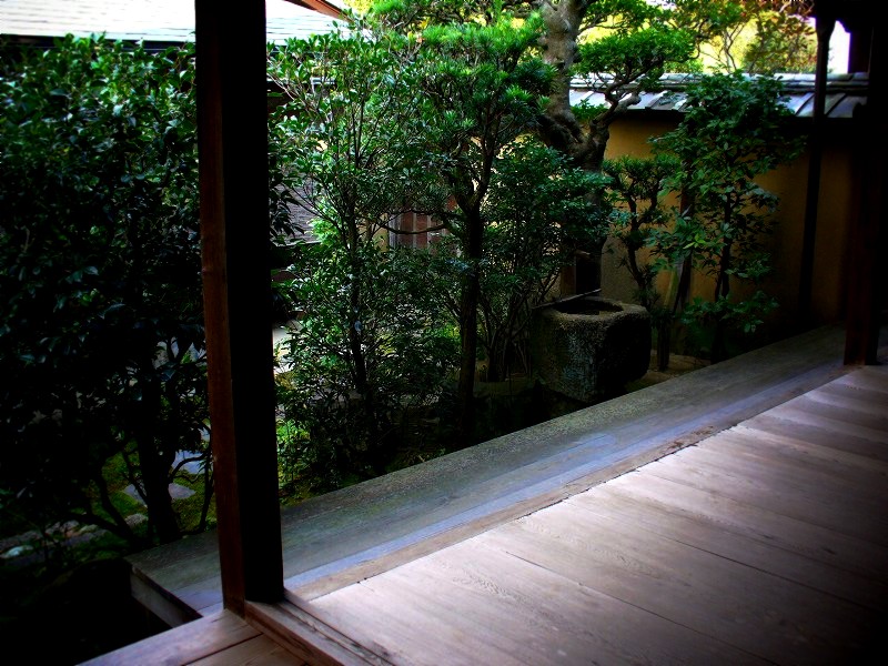 ��x���F�ɗ����̒���