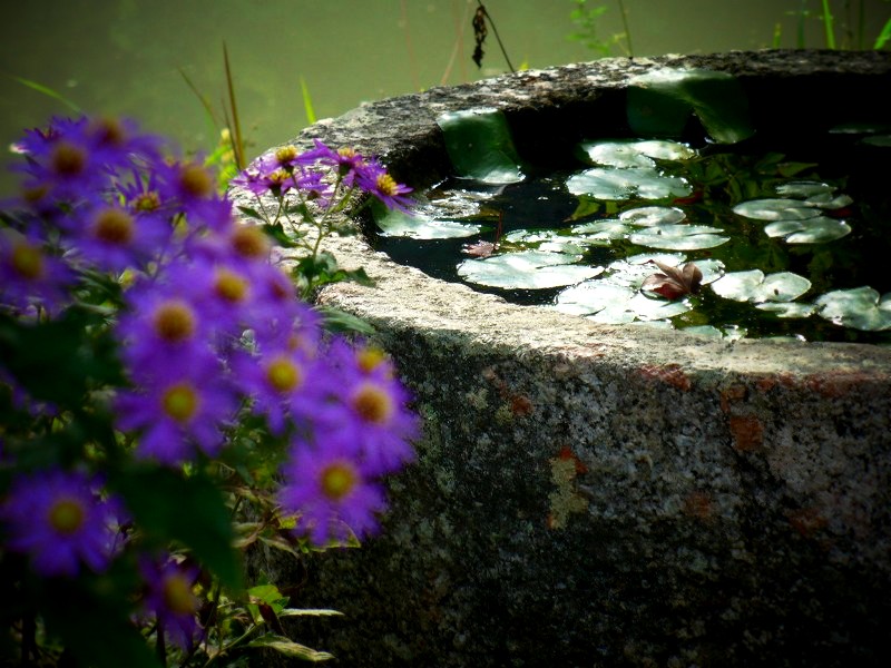 ��ڗ����F�萅���Ɖ�