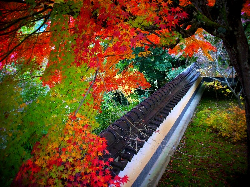 �ƕ����F�����ɂ�