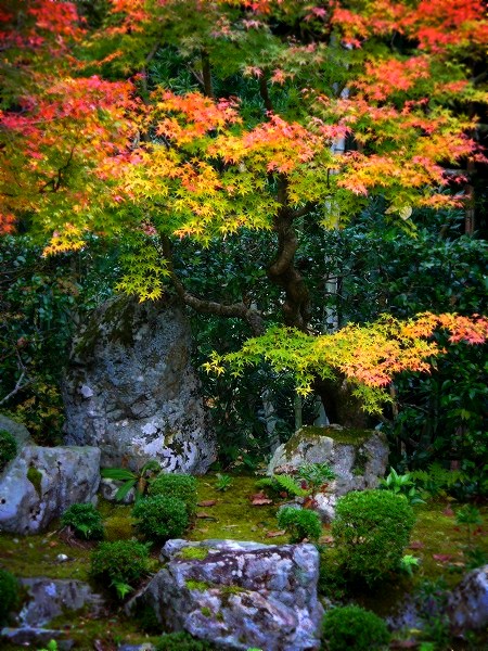 �ƕ����F�뉀�̍g�t