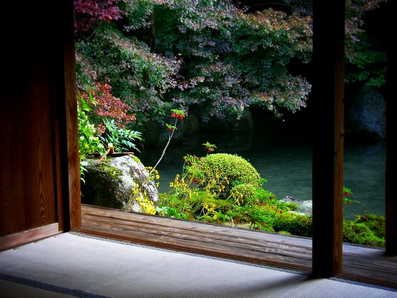 �@�؎��F���@���