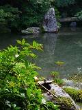 蓮華寺:庭園と手水鉢