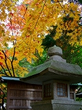 大原野神社:灯籠と紅葉