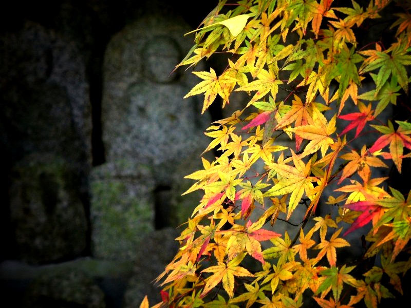 �@�؎��F�g�t�ƐΕ�