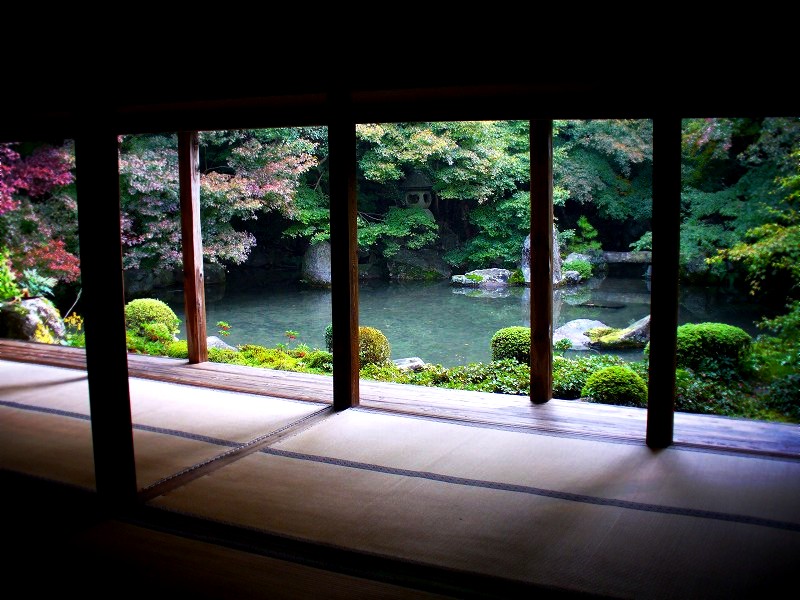 �@�؎��F���@����̒���