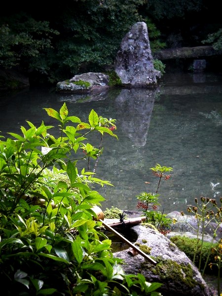 �@�؎��F�뉀�Ǝ萅��