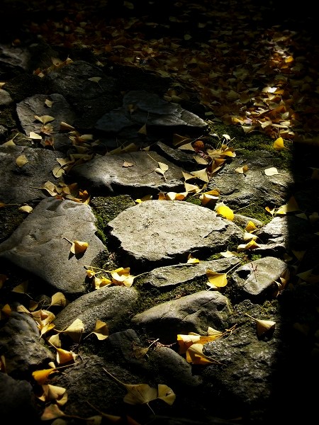 �@�؎��F�����̎Q��