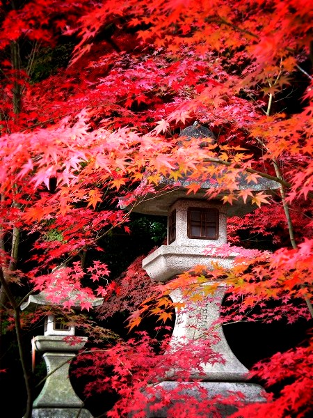 �匴��_�ЁF�����ɂ܂�