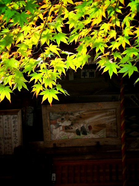 �������F�s�����ɂ�