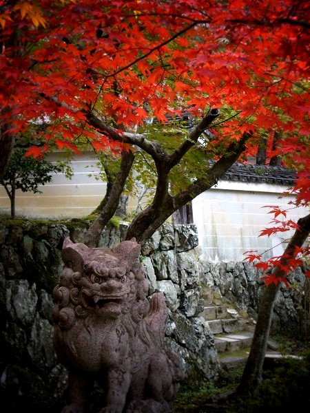 �������F�g�t�ƍ���