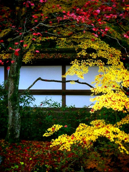 ��O���F������뉀�̍g�t�@