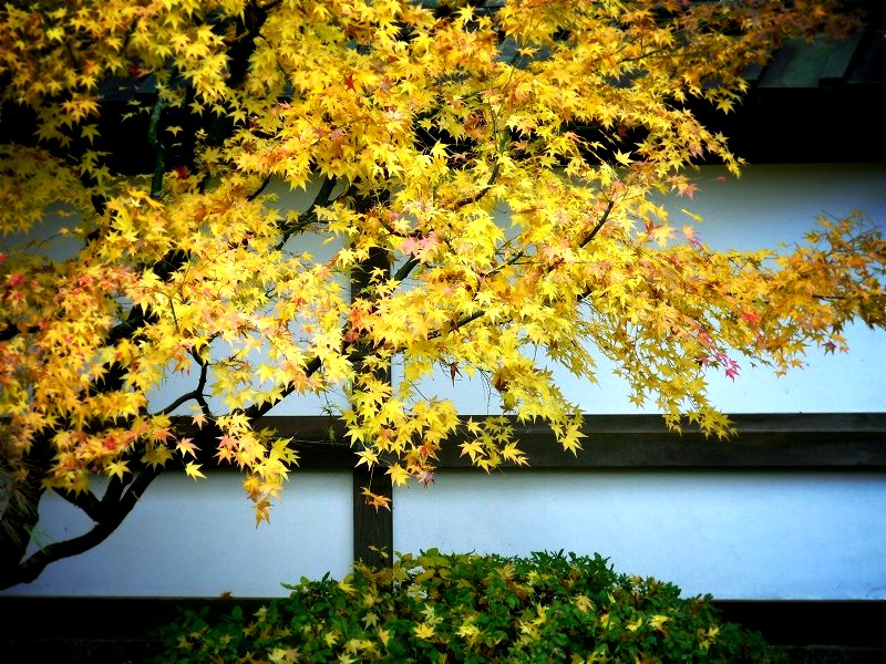 ��O���F������뉀�̍g�t�A