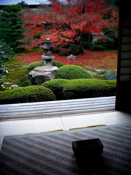 �_���@�F�U�g�t�̑O�ŇA