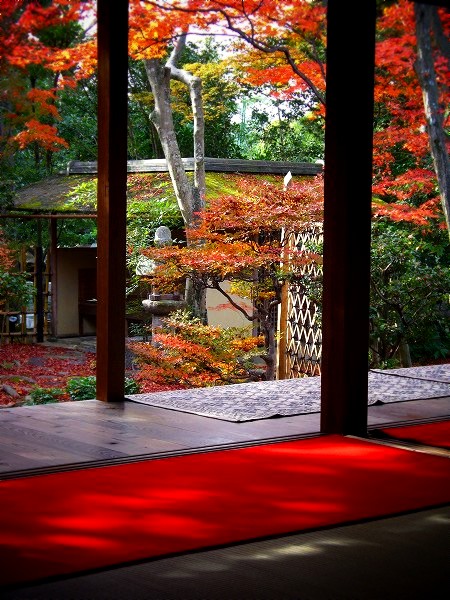 ��@�@�F�q�a�ɂ�