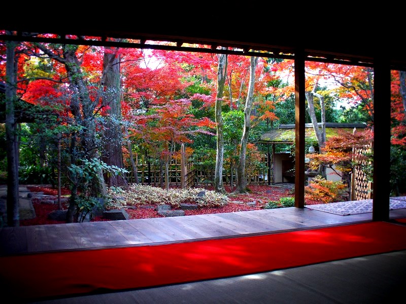 ��@�@�F�q�a���