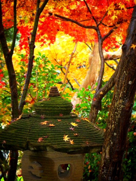 ���J���i���q�j�F�g�t�ƐΓ���