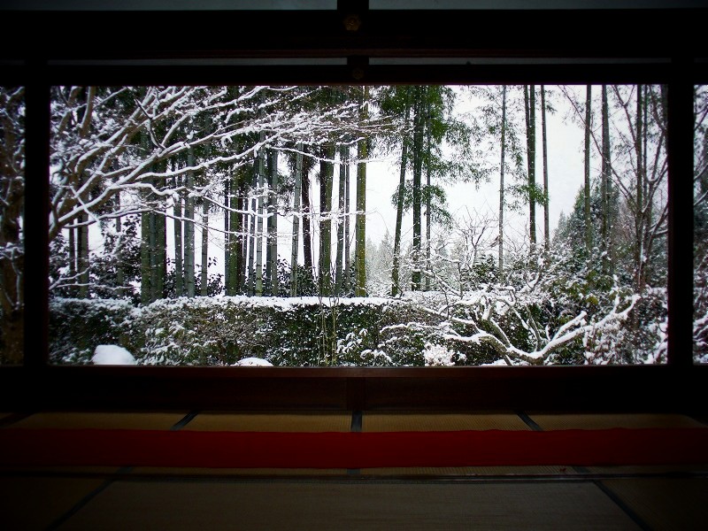 ���@�F�z���뉀��i�F