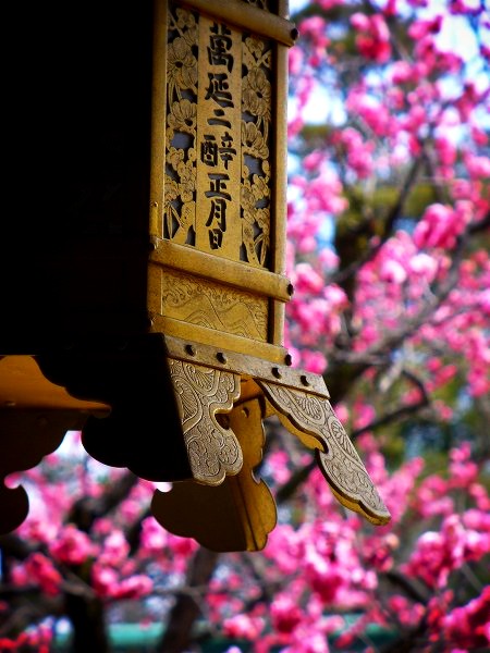 �k��V���{�F�~�ƒݓ���