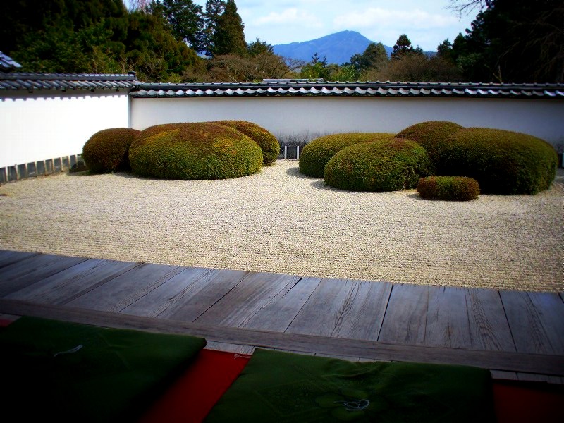 ���`���F�͎R���뉀