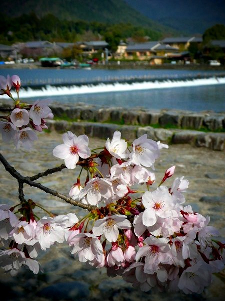 ���R�F�n������l