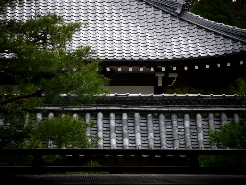 �V�����F�������