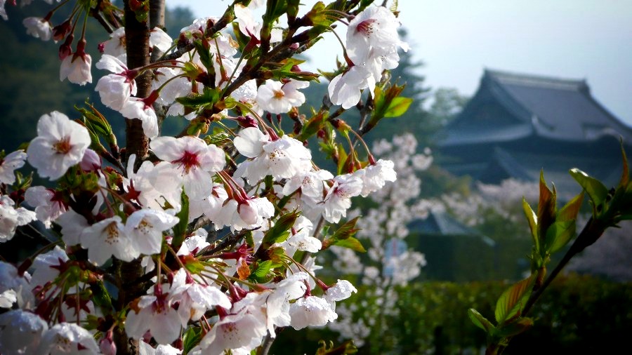 .���͎��F�{����]��