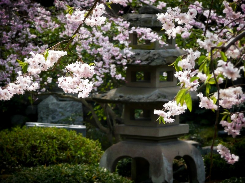 �����F�뉀�̎}������@