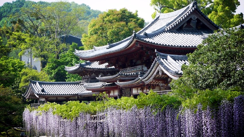 �����@�F�P�����Ɠ��@